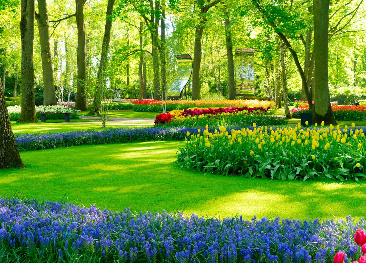 Home Decor and Garden