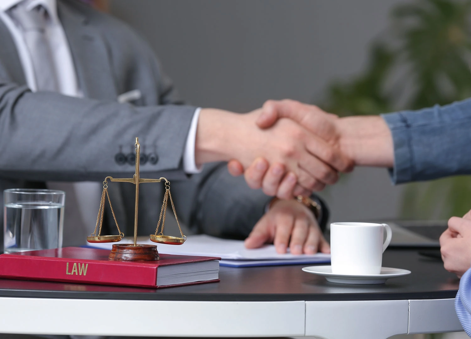 Lawyers and Law Firms